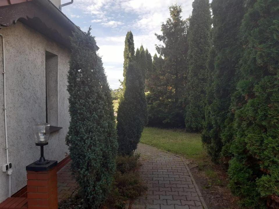 Noclegi Nowogrodziec Buitenkant foto